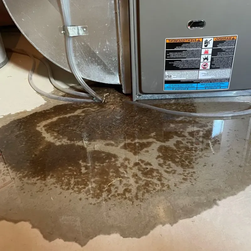 Pipe Burst and Leak Restoration in Wind Gap, PA