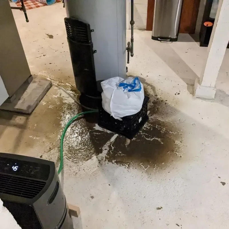 Sewage Backup Cleanup Service in Wind Gap, PA